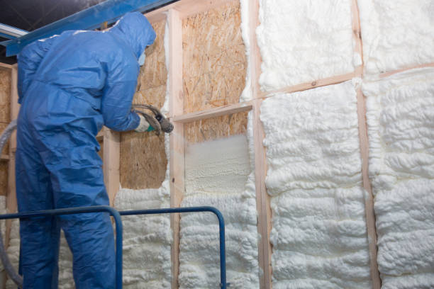 Best Wall Insulation Installation  in USA